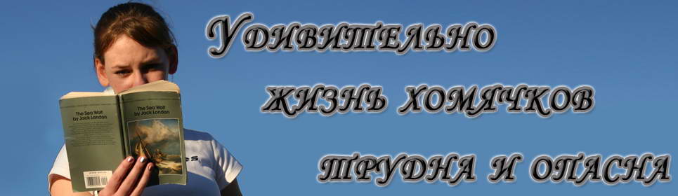 Диплом на заказа